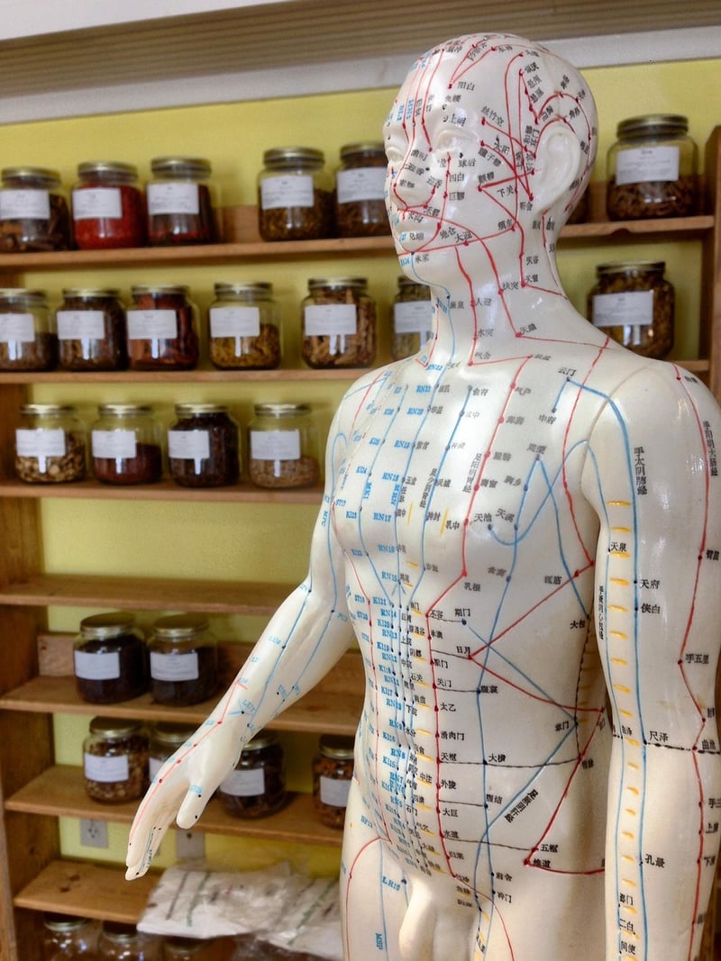 Somatic Healing Practices